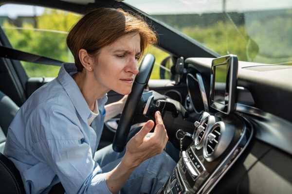 Tipos de sistemas electrónicos en vehículos adaptados